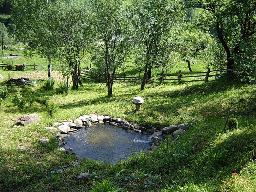 Декоративный пруд