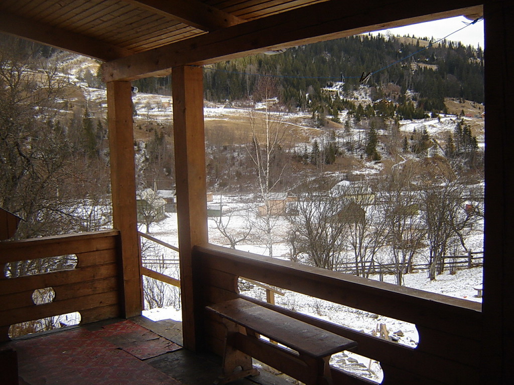 Дом 2 Вид с веранды зимний