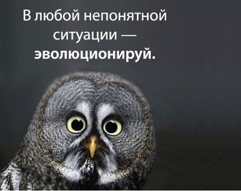 Эволюционируй