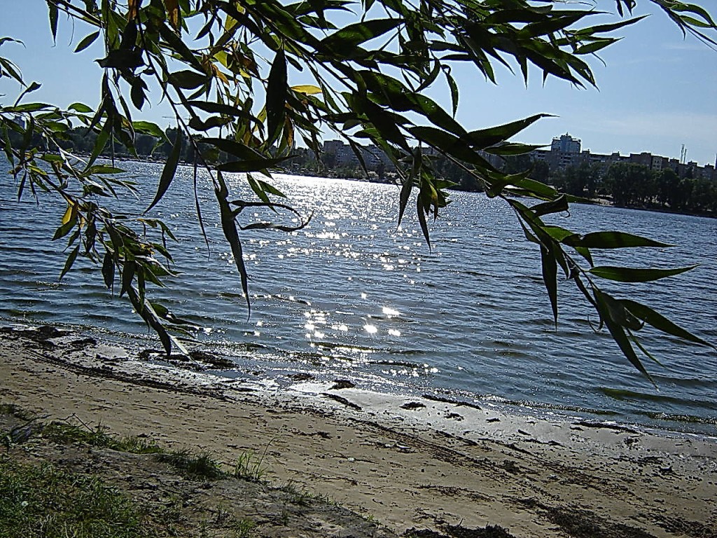 1 Блестки солнце побросало на залив