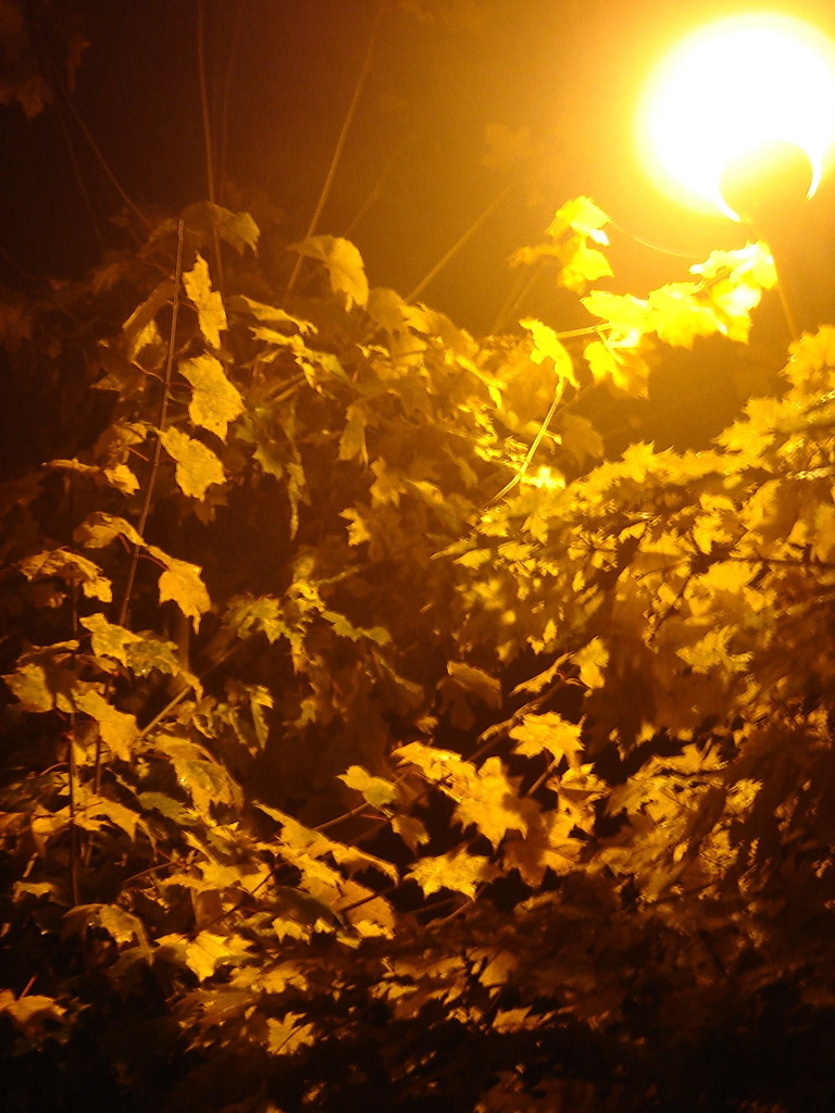 А память жива