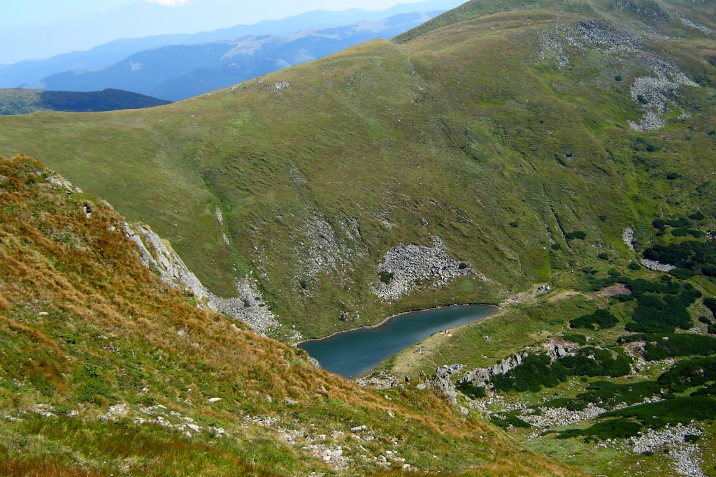 Бребенескул в цирке