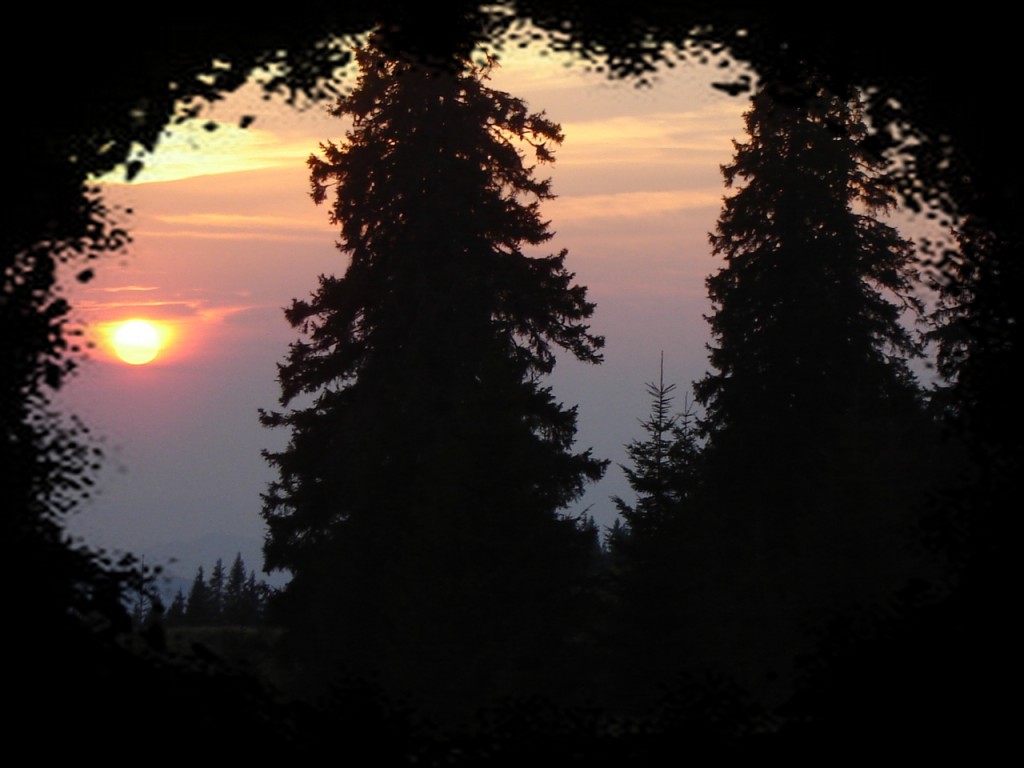 В окружении мрака