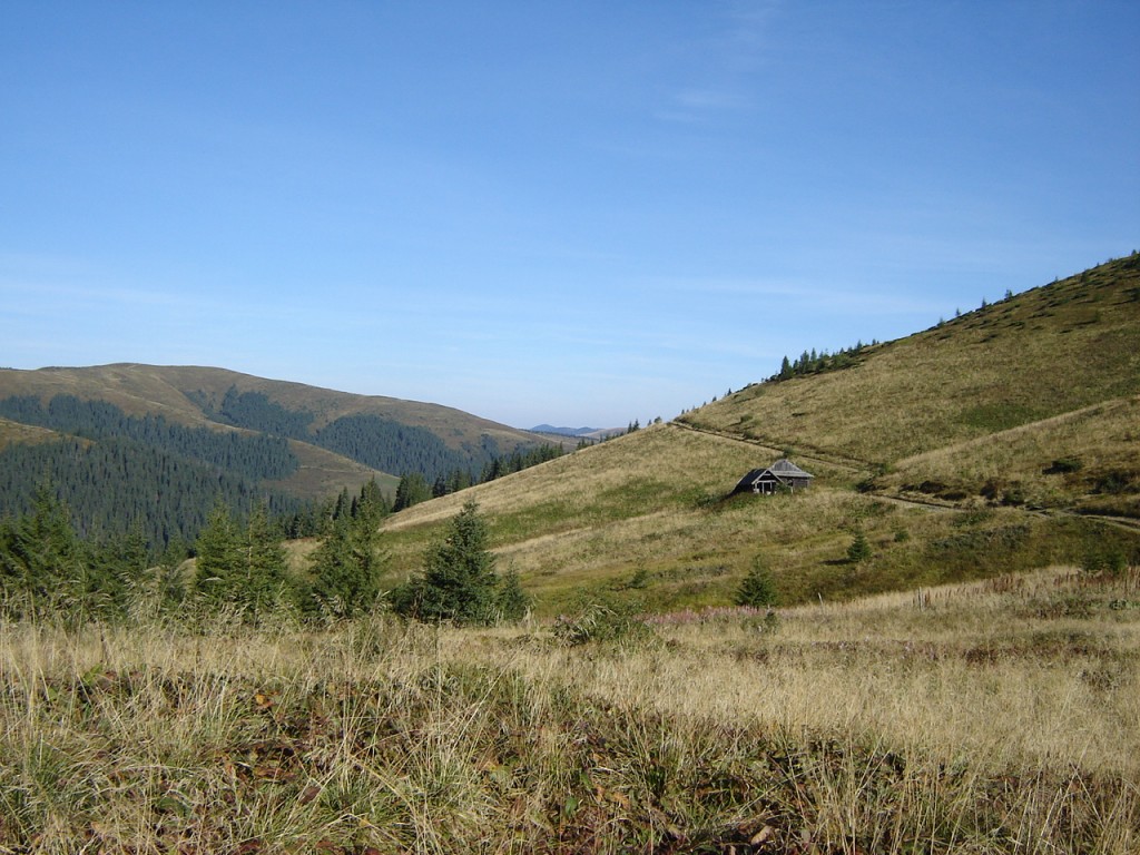 Избушка тропа