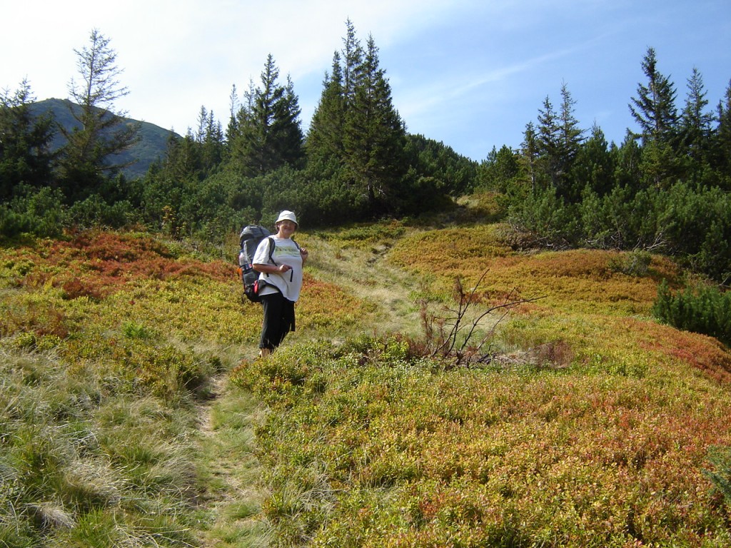 Маичка на коврах