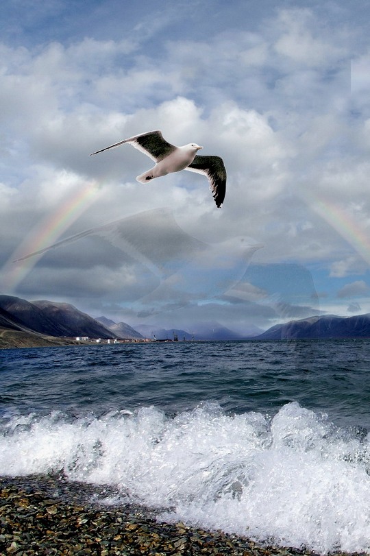  Полет над островком любви