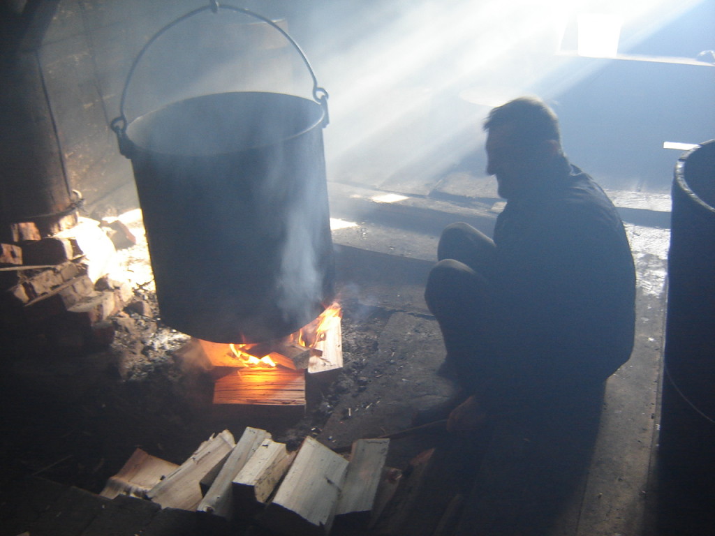 Первый этап изготовления сыра
