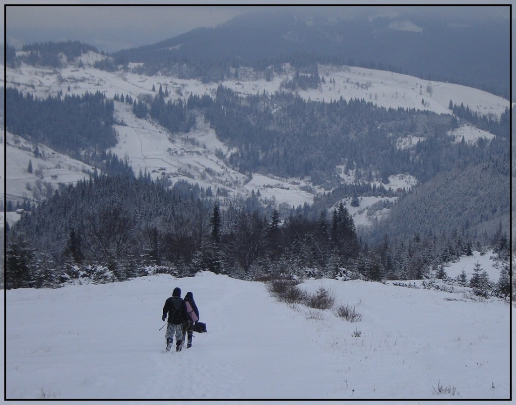 Полонина Смотрич