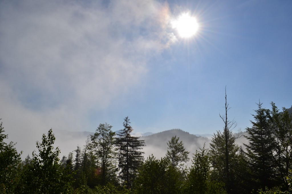 Пробуждение