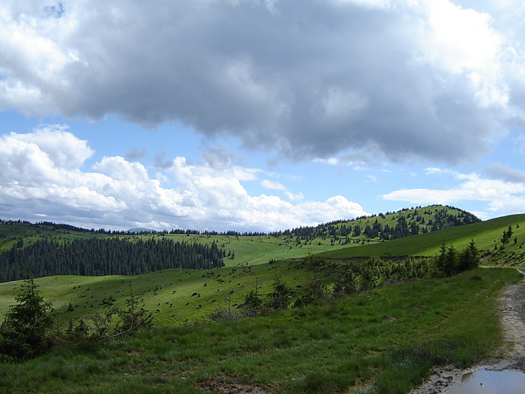 Простор и воля - это наше все