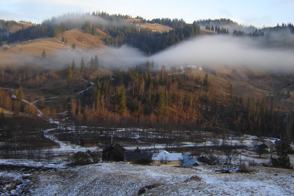 Рыжий туман