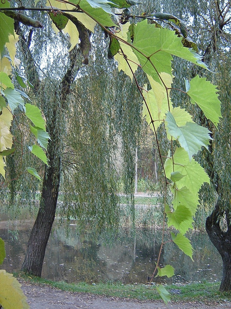 То не ветер ветку клонит