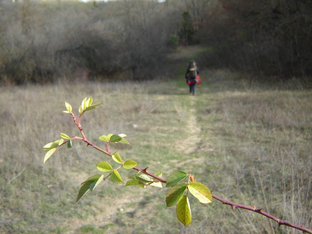 Я шагаю дорогой длинной