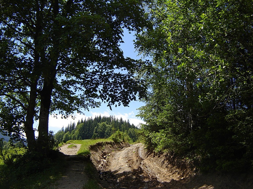 рытвины и ухабы