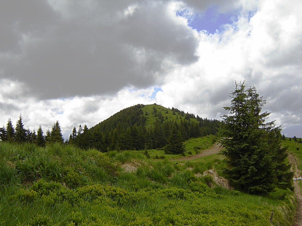 стог и две елки