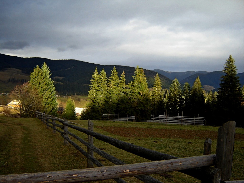 тишина и красота