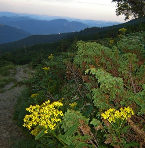 2 дорога на Маричейку