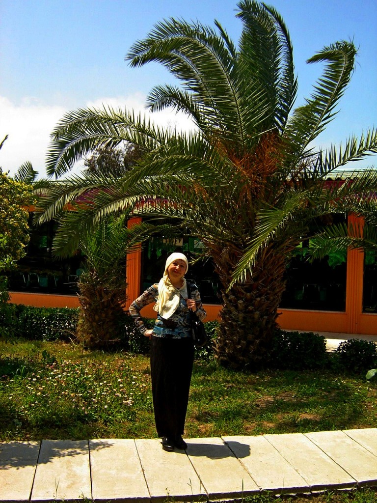 Под пальмой