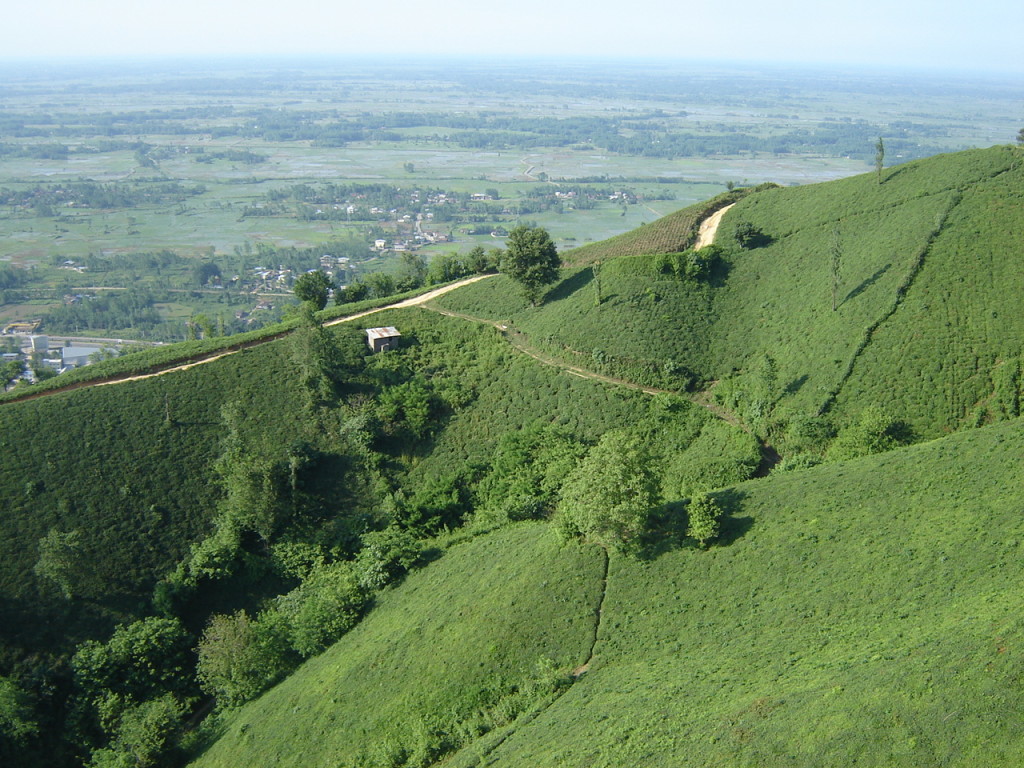 вид с канатной дороги