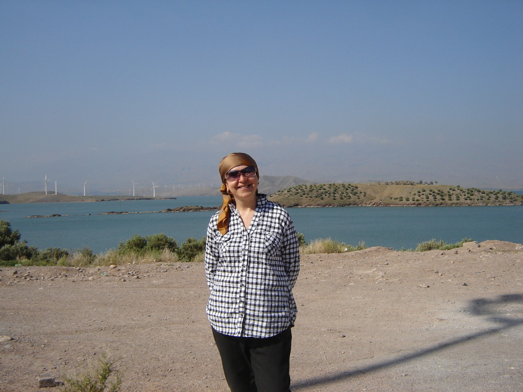 скромный персидский платочек