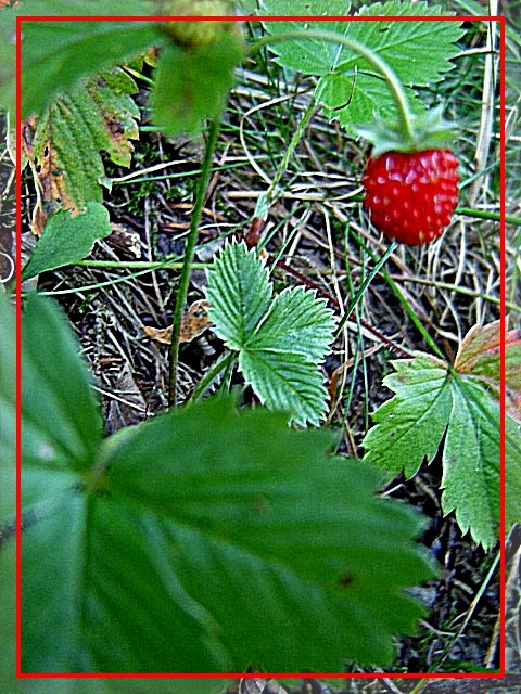 первый подарок