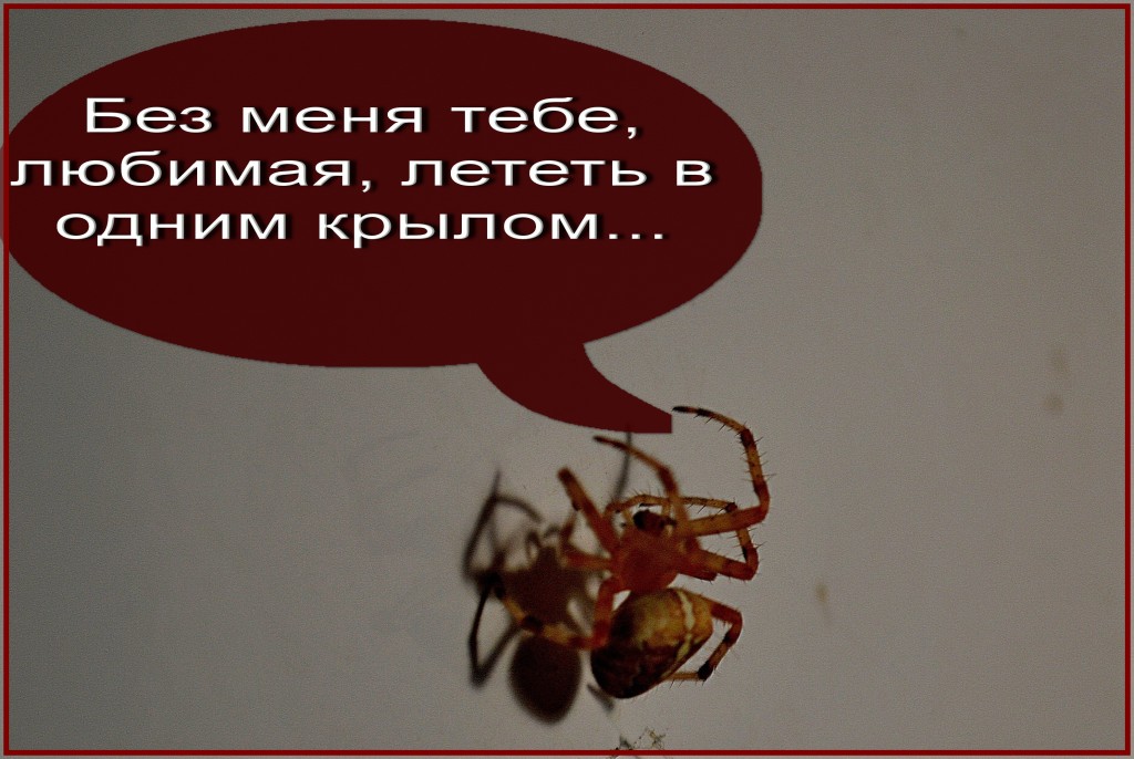 Без меня тебе никак