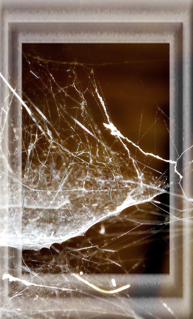 паутина любви