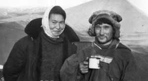 Тундровые чаевники