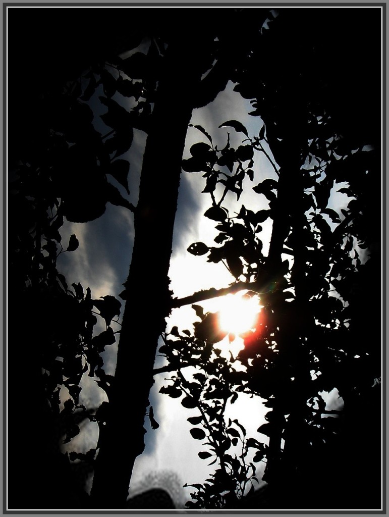 И восходит солнце