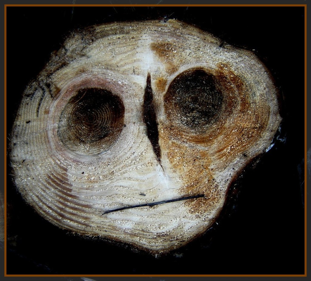 пенек-рожица