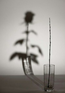 ПОВЕРЬ В СЕБЯ