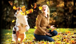 Игра с собакой