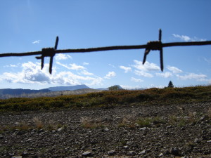 граница с колючкой