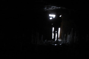 Білий спелеолог