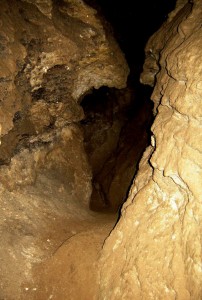 Два закохані створіння