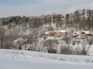 ЗАЛІССЯ СЕРГІЙ