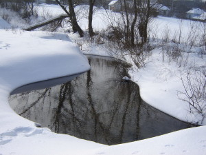 Калюжа взимку