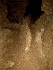 Концертна зала з горбокоником