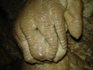 Лапа дракона