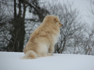 МРІЯ ПРО ВИХІД СЕРГІЙ