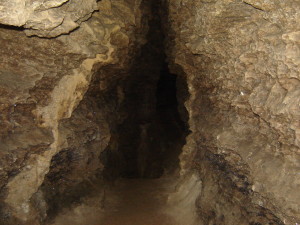 НА ПОВЕН ЗРІСТ