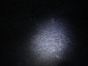 ПІДЛОГА БРУКІВКА