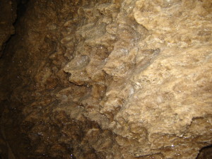 Різблення концертної зали