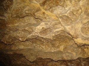 ХИМЕРНІ ФОРМИ