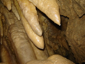 бурульки грона