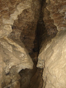 два створіння з іншої точки6