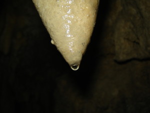 з бурульки капає