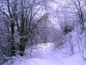 синий синий иней