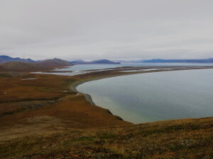 Губа Гавриила