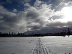 Дорога в тундре